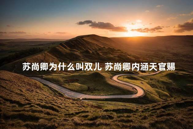 苏尚卿为什么叫双儿 苏尚卿内涵天官赐福是真的吗